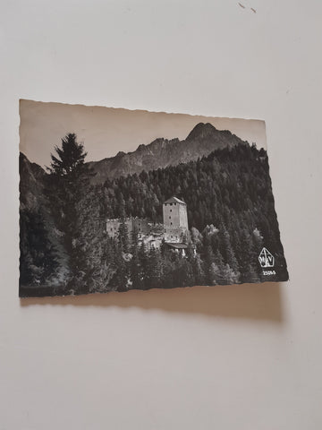 AK Lienz. Schloß Bruck.