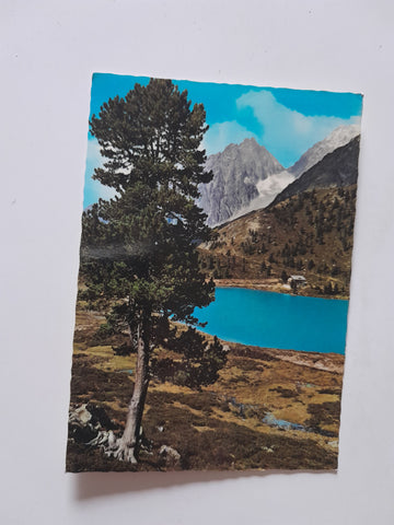 AK Oberseehütte am Stallersattel.