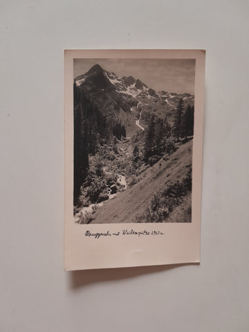 AK Bruggeralm mit Weißenspitze.