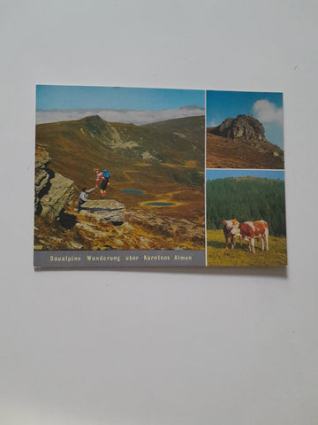 AK Saualpine Wanderung über Kärntens Almen. Saualpenkamm. Großer Sauofen.