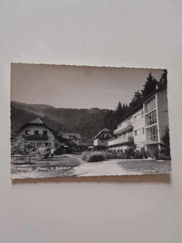 AK Steindorf am Ossiachersee. Pension Passin.