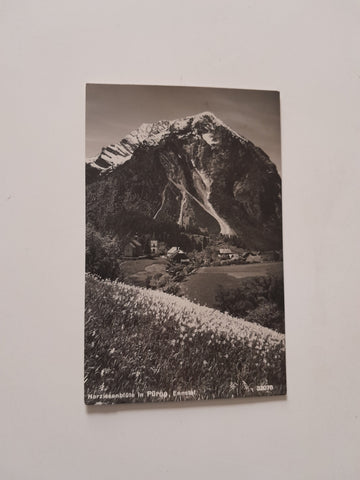 AK Narzissenblüte in Pürgg. (1938)