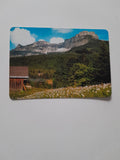 AK Narzissenwiese auf der Blaa-Alm bei Altaussee.