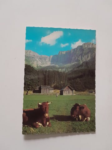 AK Blaa Alm mit Loser.