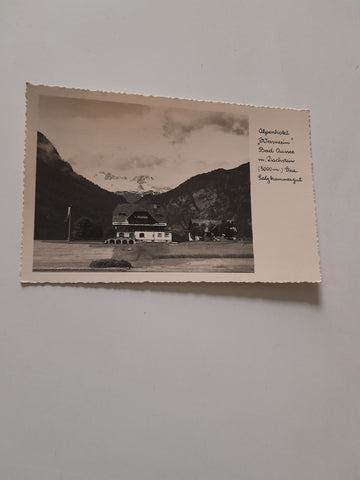 AK Bad Aussee. Alpenhotel Wasnerin.
