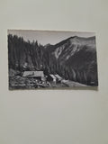 AK Sölker Tauern. Kaltenbachalm. (1967)