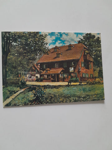 AK Wildalpen. Hans Thimig's Häusl auf der Salzahöhe.
