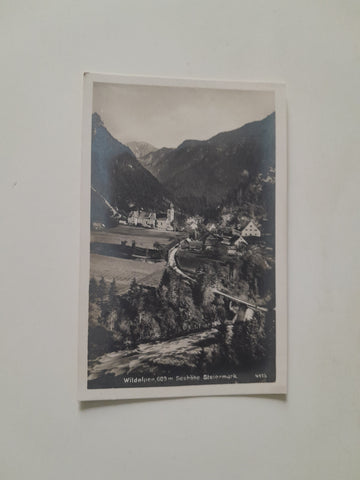 AK Wildalpen. (1929)