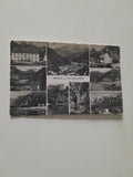 AK Gruss aus Wildalpen. (1955)
