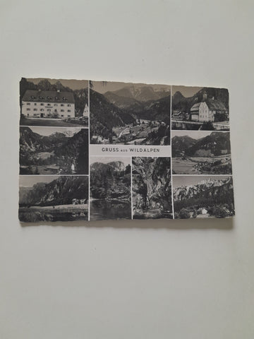 AK Gruss aus Wildalpen. (1955)