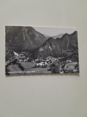 AK Wildalpen. (1963)