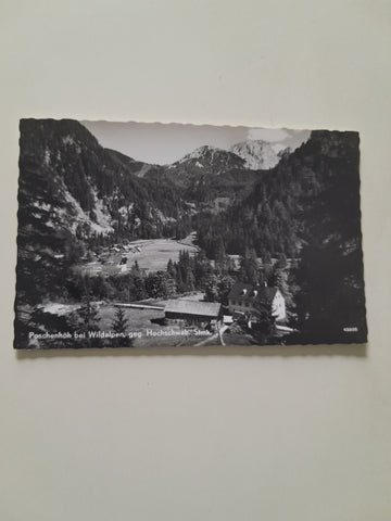 AK Poschenhöh bei Wildalpen geg. Hochschwab.