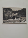 AK Wildalpen.