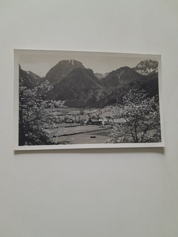 AK Hinterwildalpen.
