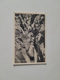 AK Wörschach Klamm. (1951)