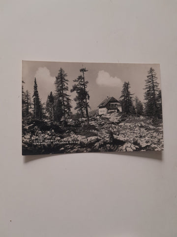 AK Totes Gebirge Hennaralpe Appelhaus.