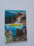 AK Stoderzinken. Berggasthof Steinerhaus. Gröbming.
