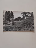 AK Stoderzinken. Steinerhaus. (1964)