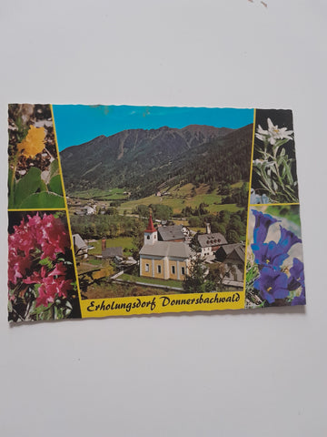 AK Donnersbachwald.