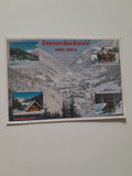 AK Donnersbachwald.