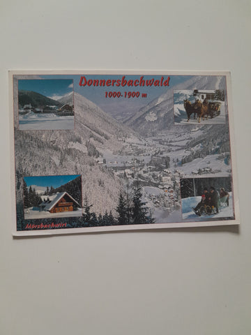 AK Donnersbachwald.