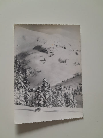 AK Skiparadies Planneralm. Donnersbach.