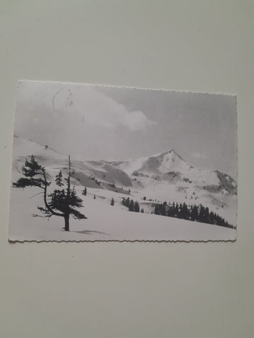 AK Skiparadies Planneralm. Donnersbach.