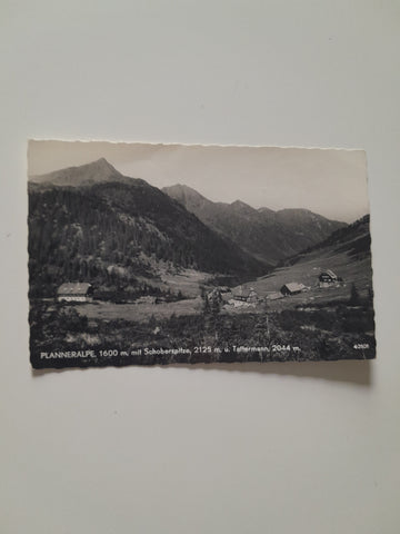 AK Planneralpe mit Schoberspitze u. Tattermann.