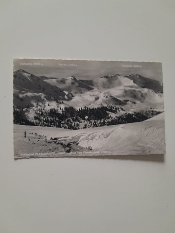 AK Schigebiet Planneralpe vom Plannerkreuz. (1956)