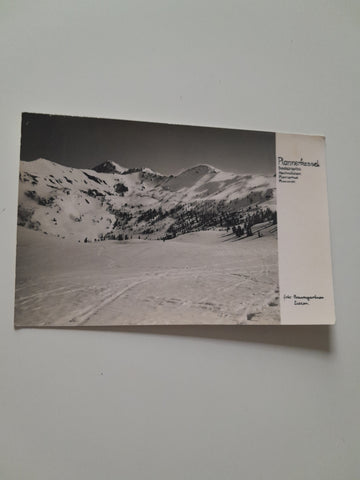 AK Plannerkessel. Seekarspitze Hochrettlstein, Plannerknot. Plannereck.