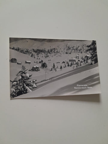 AK Planneralm. Donnersbach.