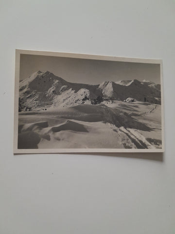 AK Am Kamm. Plannereck-Rotbühel. (1925)