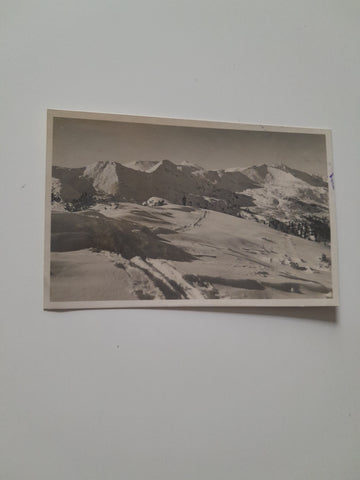 AK Blick vom Plannereck gegen Schreinl. (1925)
