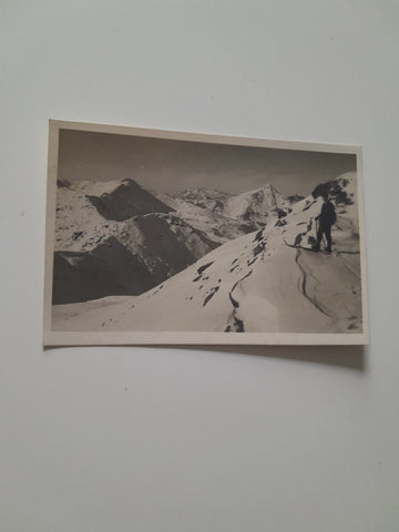 AK Dachsteinblick vom grossen Rotbühel. (1925)