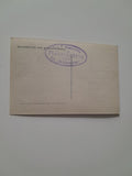 AK Dachsteinblick vom grossen Rotbühel. (1925)