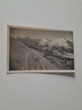 AK Schoberspitze vom Plannereck. (1925)