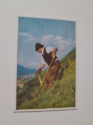 AK Bergbauer aus dem Ennstal.