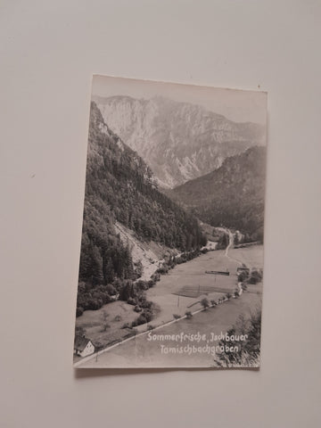 AK Ischbauer. Tamischbachgraben.