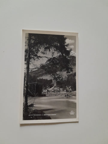 AK Gstatterboden m. Buchstein.
