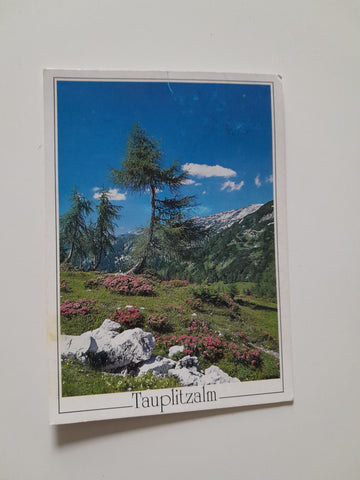 AK Tauplitzalm.