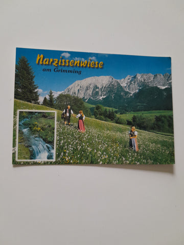 AK Tauplitz Klachau. Narzissenwiese am Grimming.