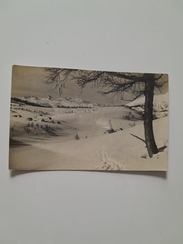 AK Mitterndorf: Tauplitzalm. (1927)