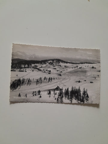 AK Tauplitzalm.