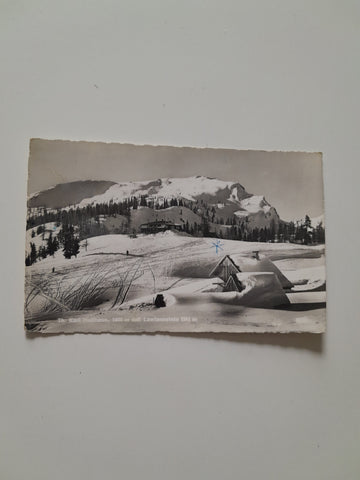AK Th. Karl Hollhaus mit Lawinenstein.