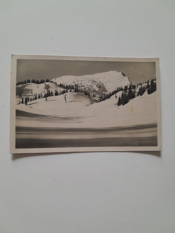 AK Lawinenstein im Todten Gebirge. (1928)
