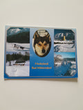 AK Bad Mitterndorf. Huskyland.