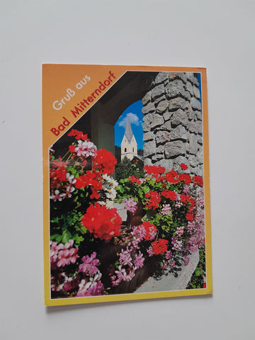 AK Gruß aus Bad MItterndorf.