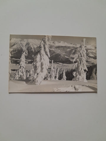 AK Mitterndorf. (1931)