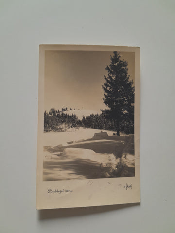 AK Pleschkogel.