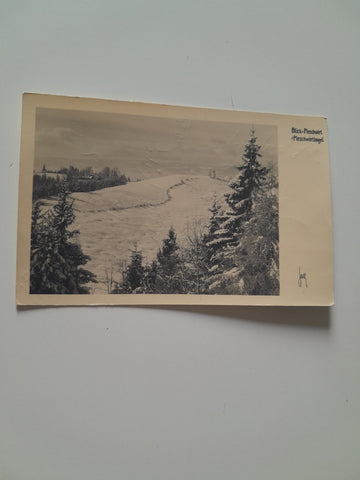 AK Blick z. Pleschwirt Pleschwirtkogel.